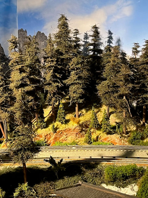 Forested Layout, P.Schneider