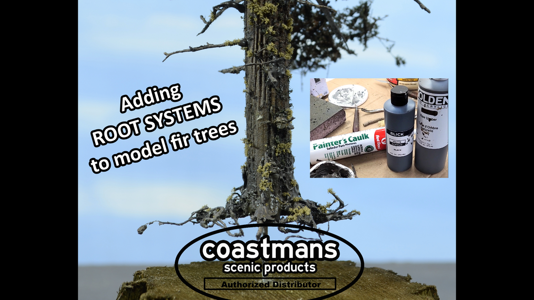 Adding Root Systems to Model Fir Trees