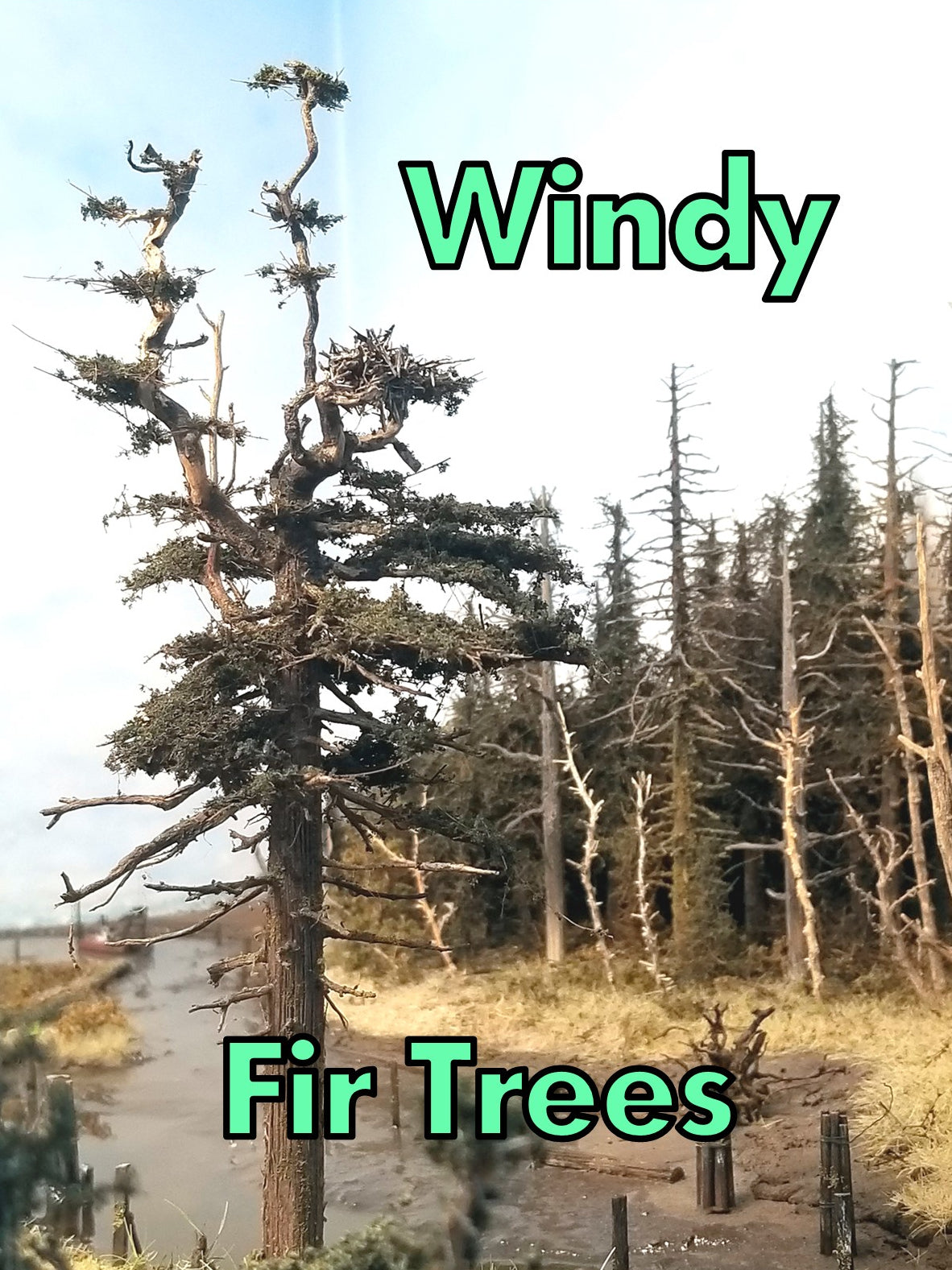 Windswept Trees