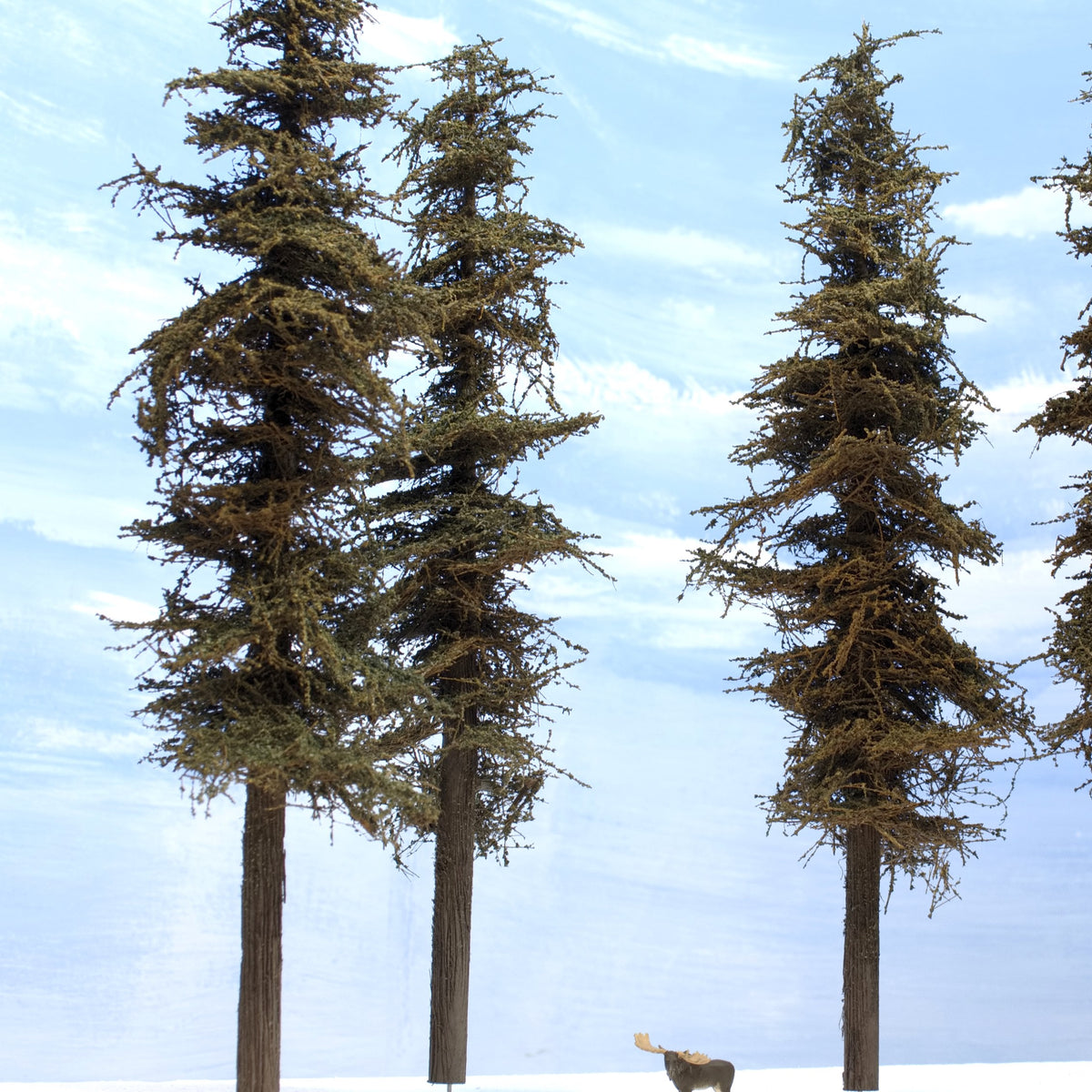 Three 11 inch Standard Fir Trees on a white diorama with a HO scale Preiser moose by Roger Rasmussen Coastman's Scenic Products