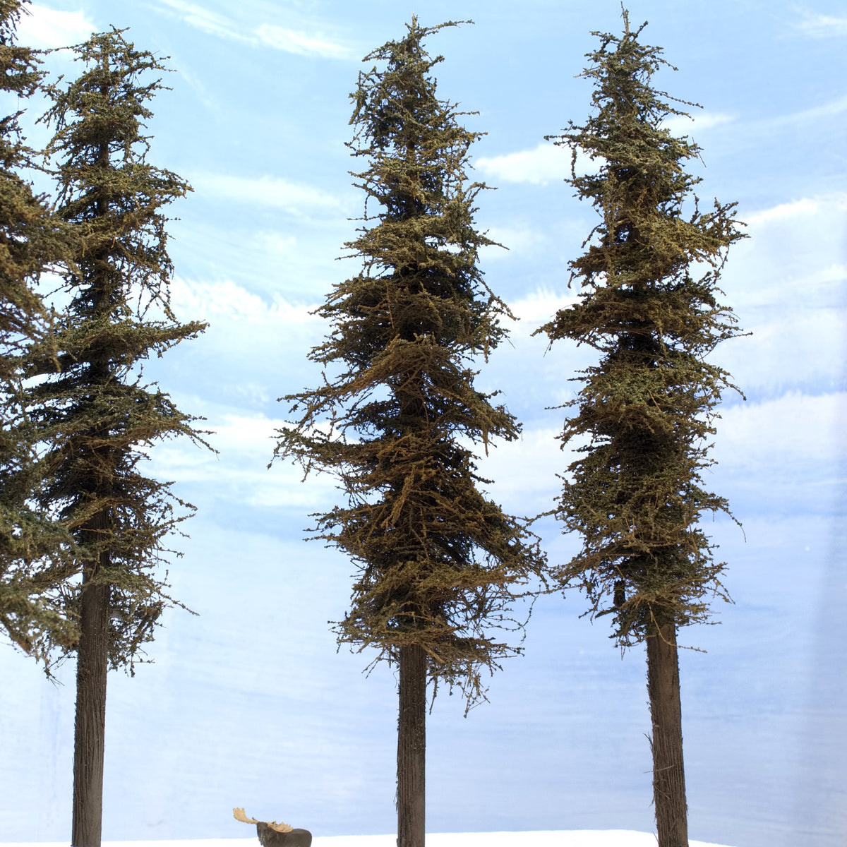 Three 11 inch Standard Fir Trees on a white diorama with a HO scale Preiser moose by Roger Rasmussen Coastman's Scenic Products