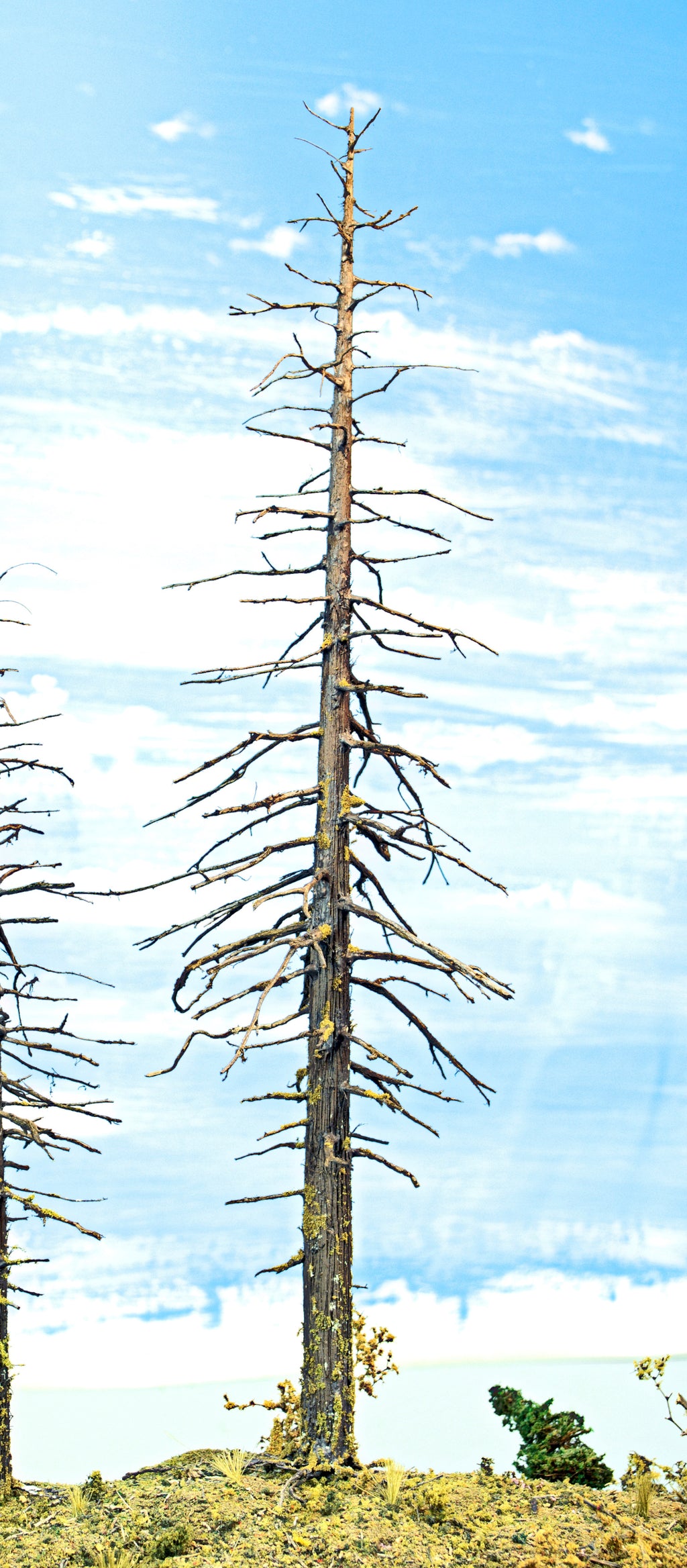 One Snag Dead or Ghost Tree 11 inches tall handmade by Roger Rasmussen at Coastman's Scenic Products in about 2022.