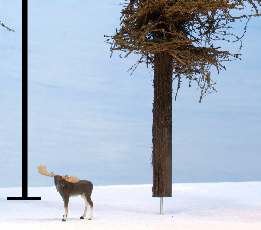 Close up on 11 inch Standard Coastman's Model Fir Tree with HO scale moose on a white platform.