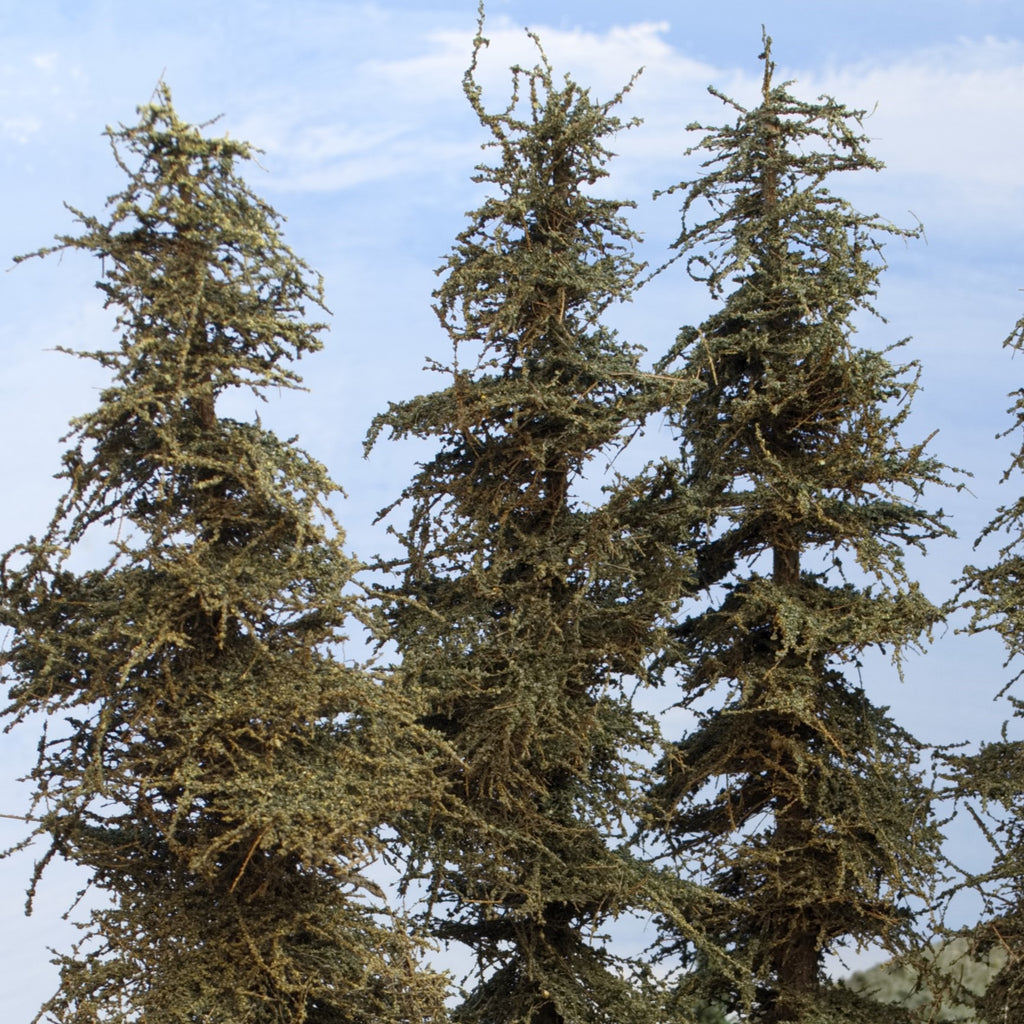 Three Coastman's Standard 11 inch tall model fir trees focusing on the upper portion of the trees and the exclusive green branches foliage material with the tapered port orford cedar trunks.