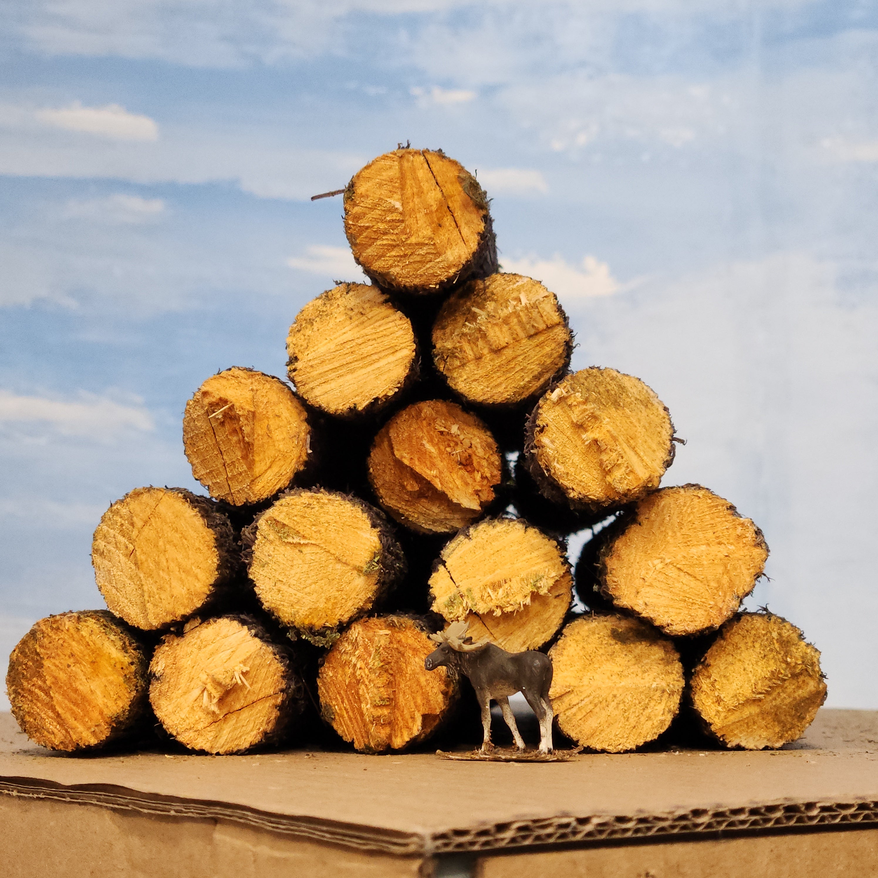 Logs, 9x1 inches