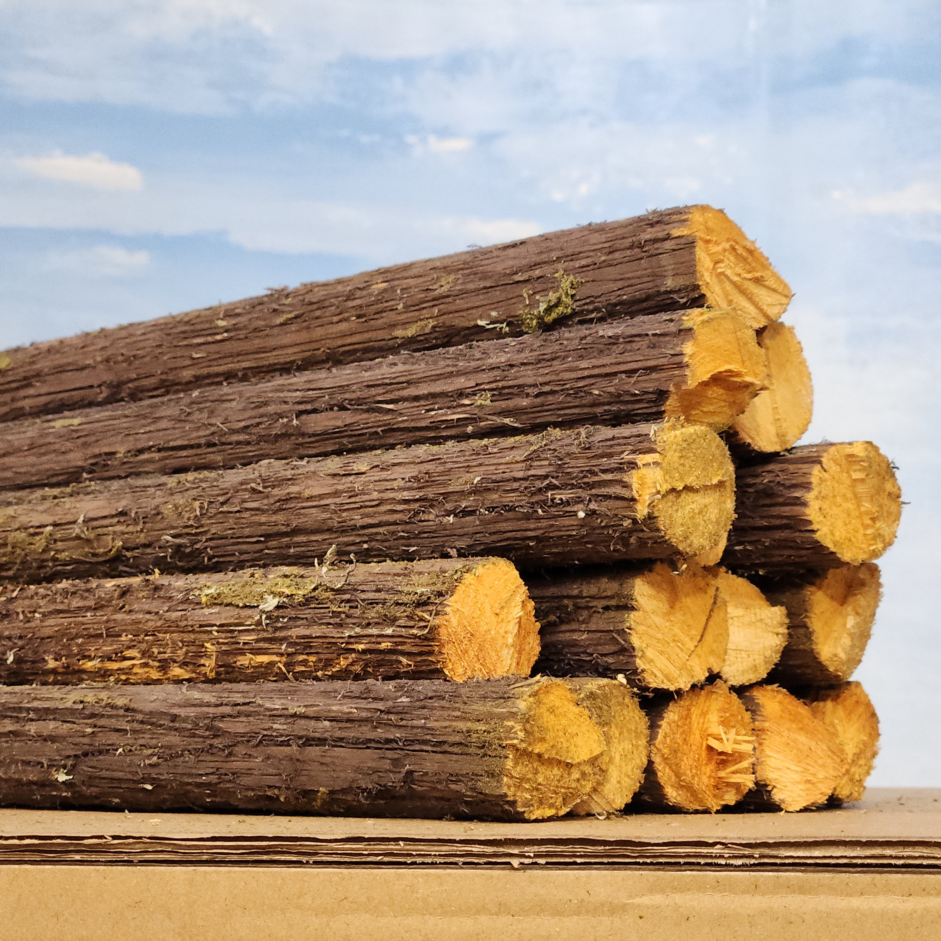 Logs, 9x1 inches