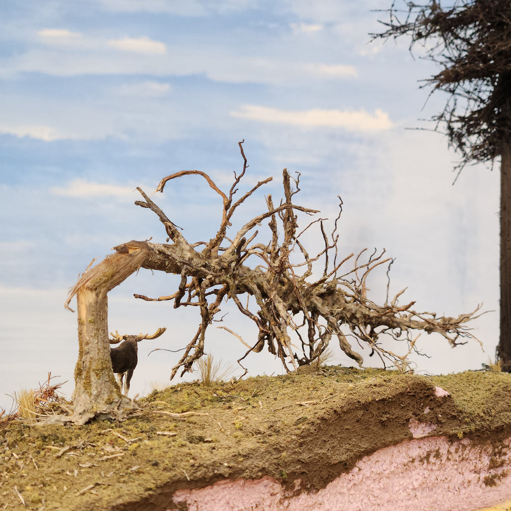 Downed Snag or Ghost Dead Tree, 7"