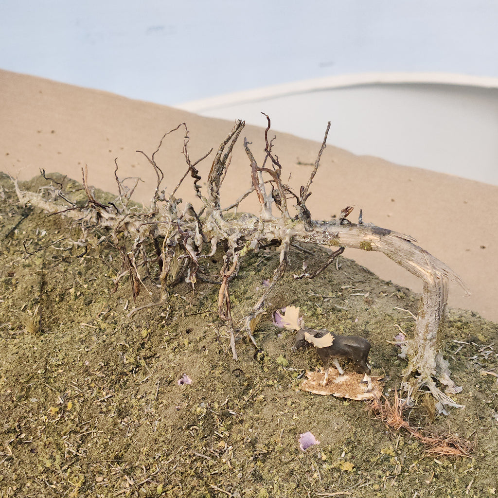 Downed Snag or Ghost Dead Tree, 7"