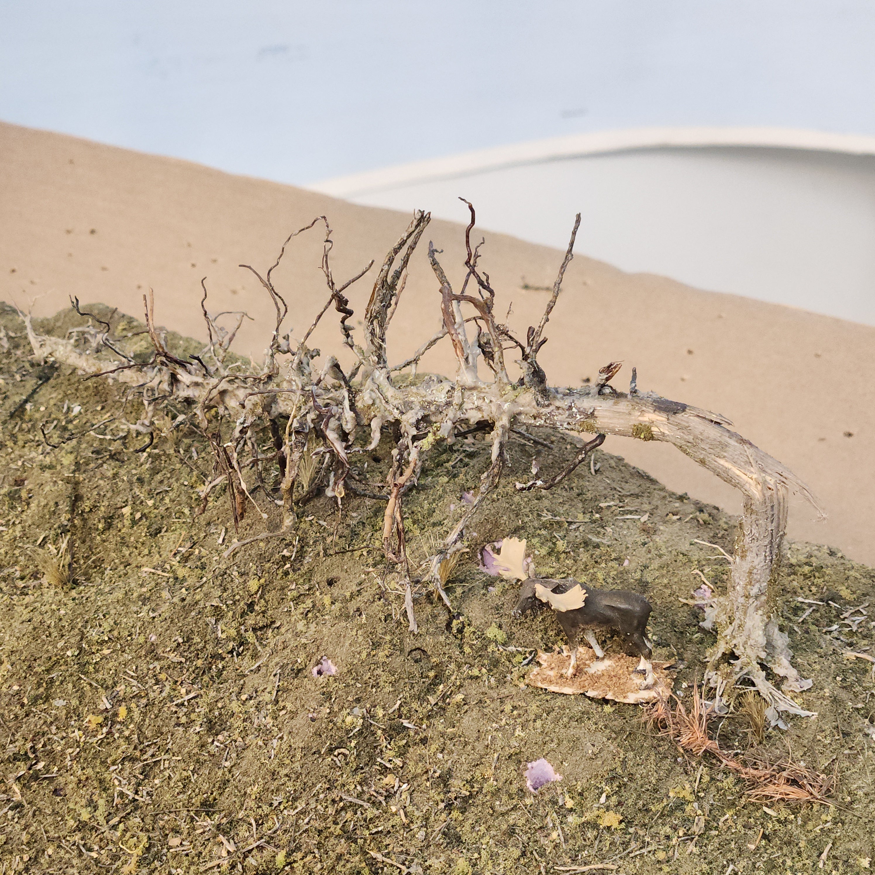 Downed Snag or Ghost Dead Tree, 7"