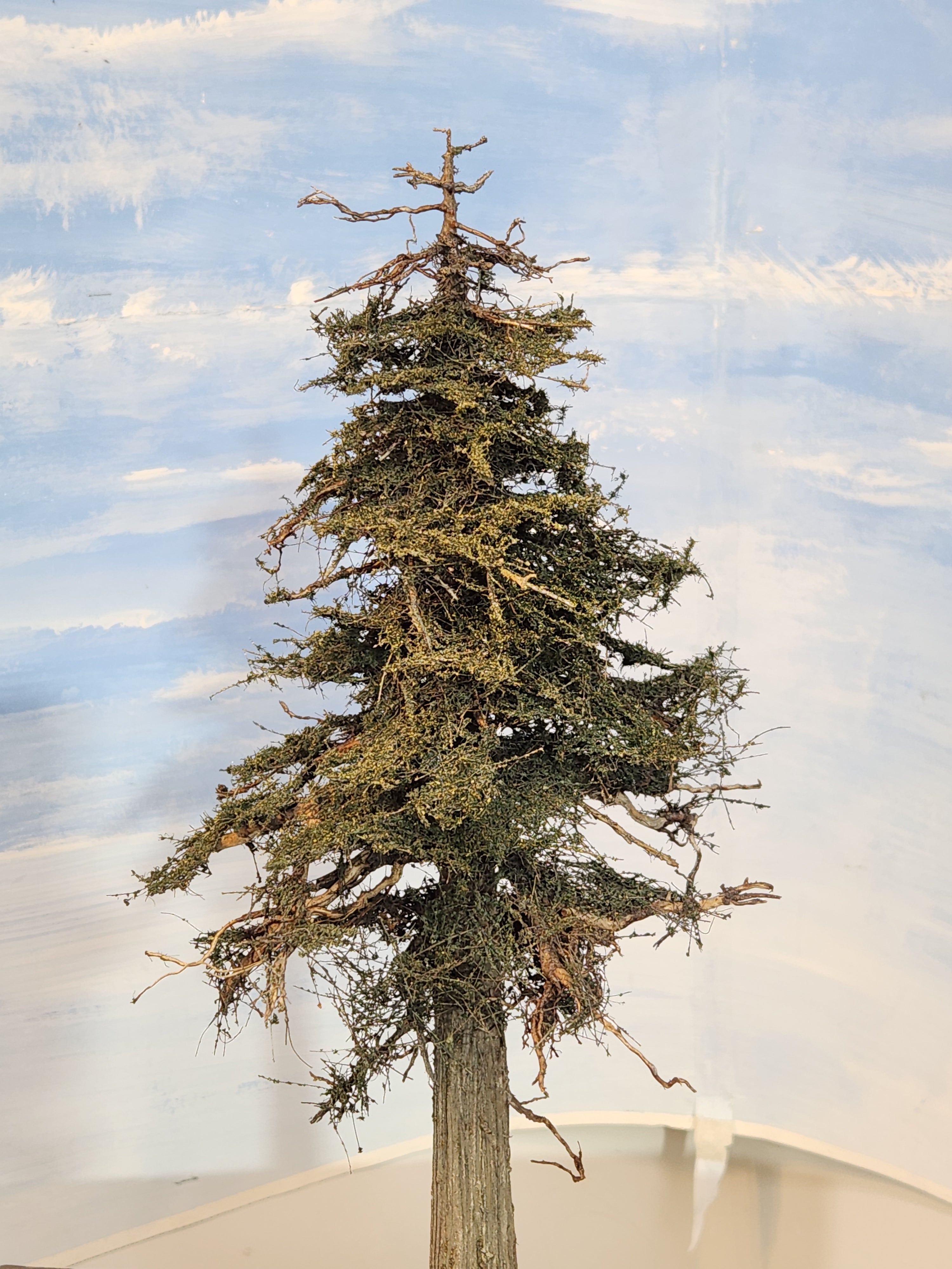 18 Inch Medium Detail Fir Tree