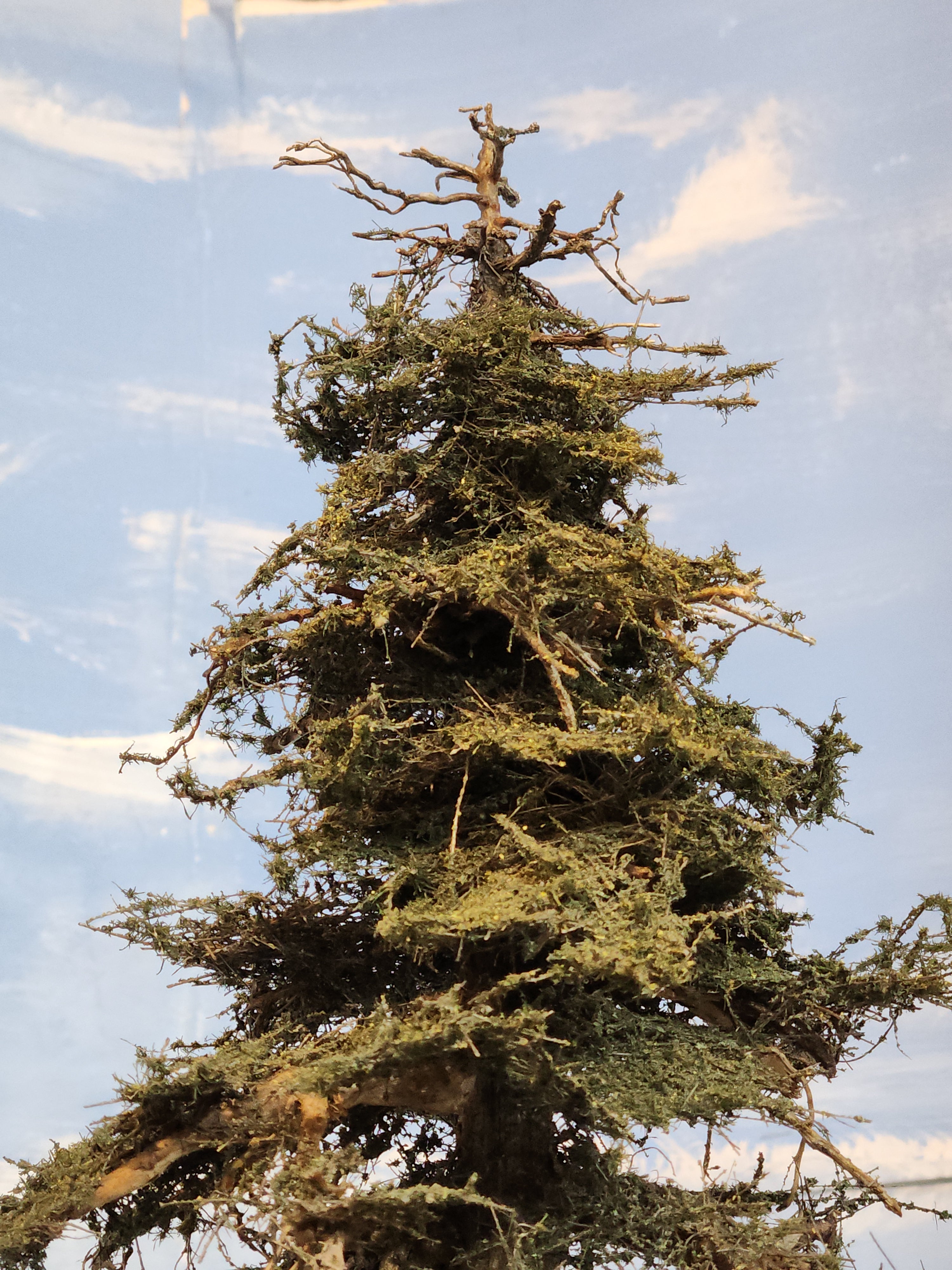 18 Inch Medium Detail Fir Tree