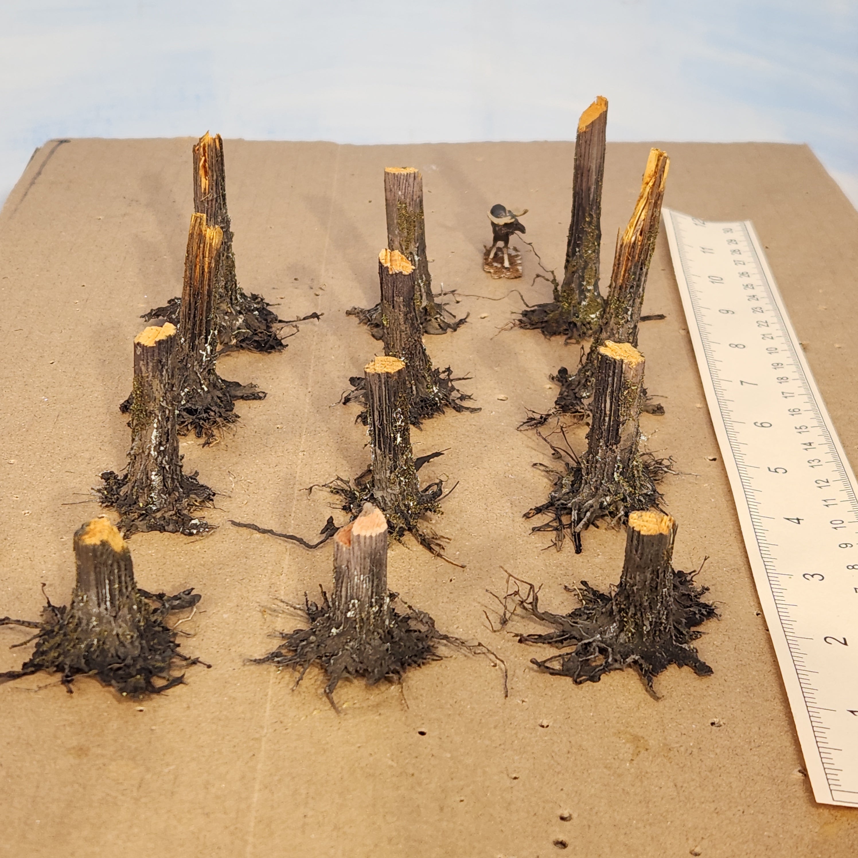 Stumps, 3/8", Chainsaw-Fresh-Cut, Three
