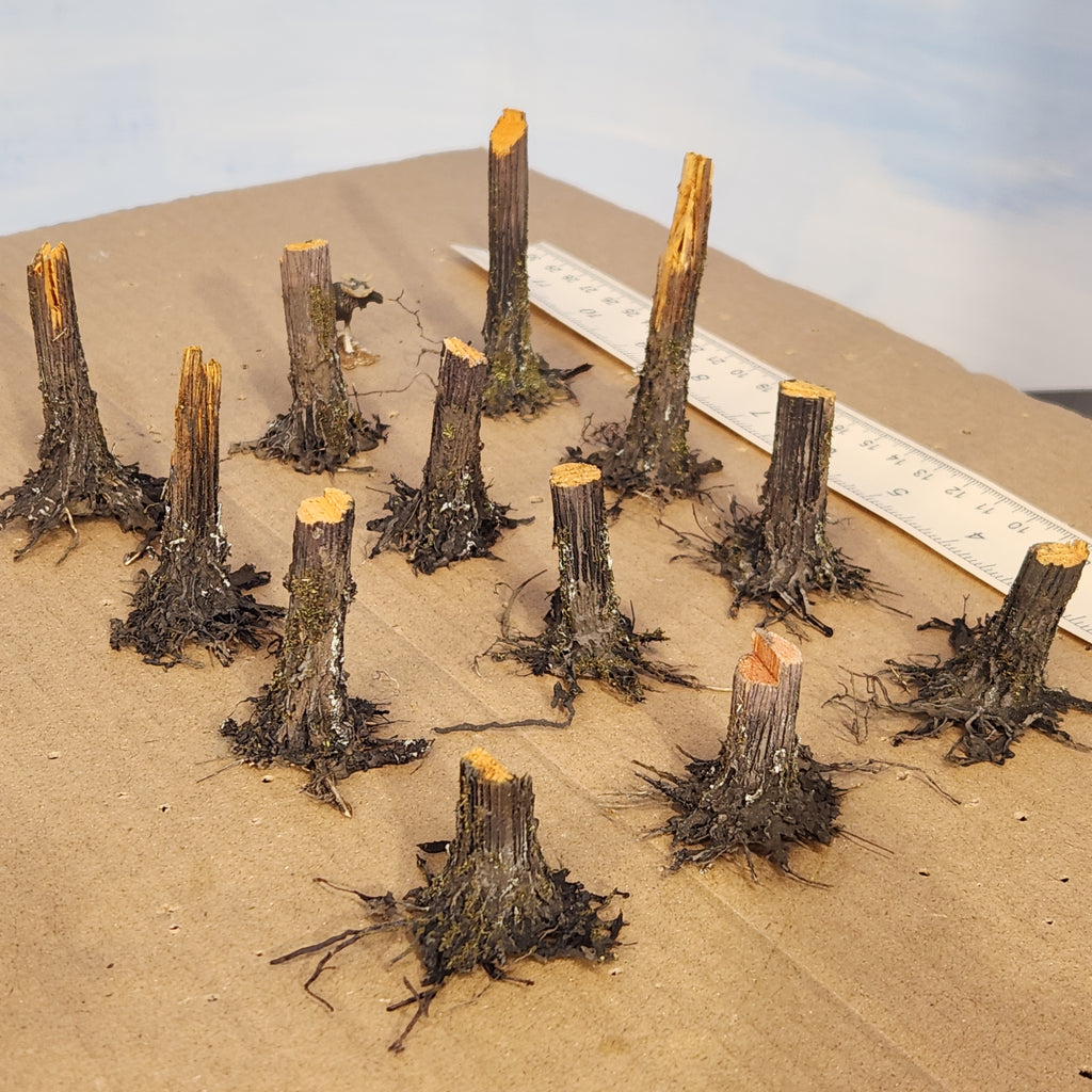 Stumps, 3/8", Chainsaw-Fresh-Cut, Three
