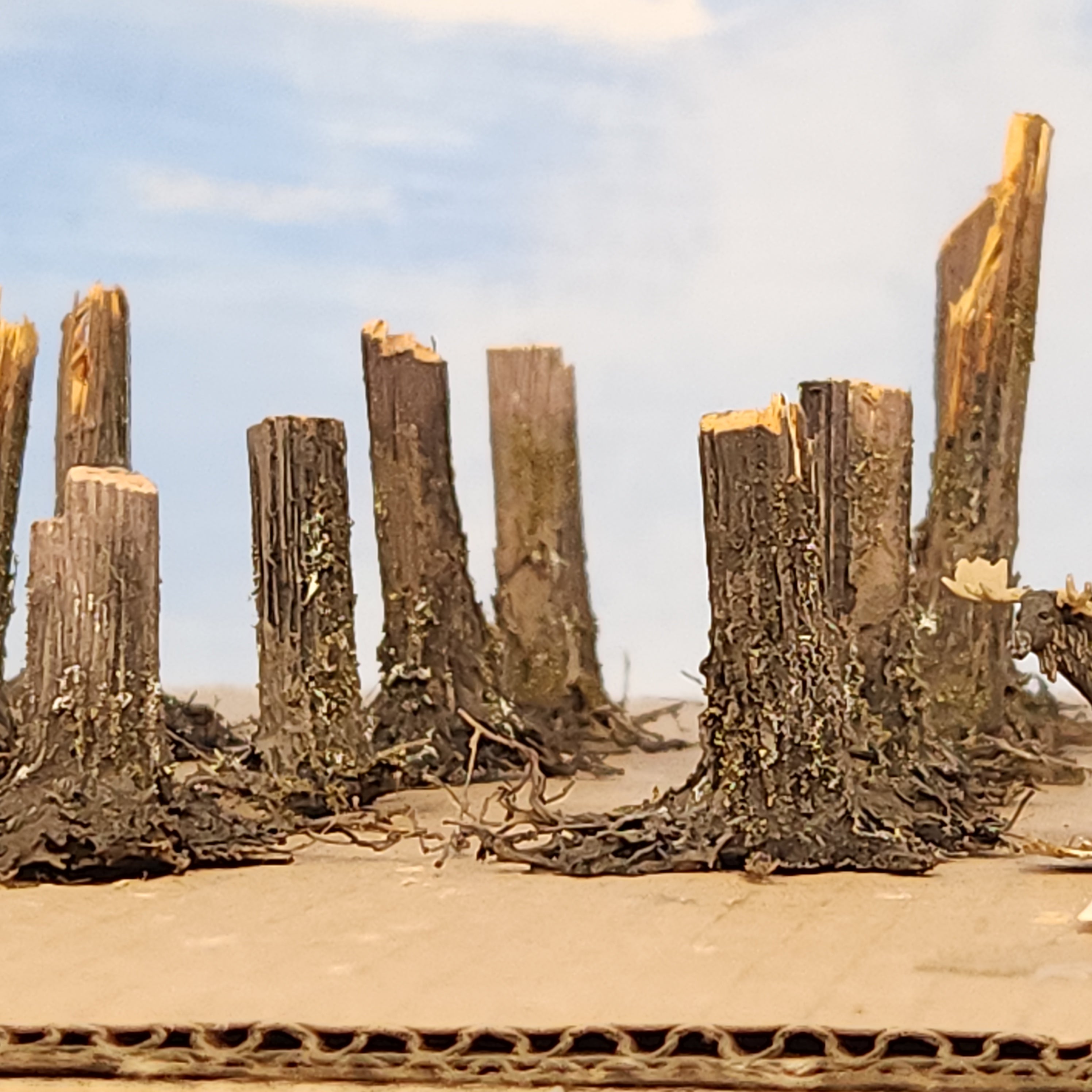Stumps, 3/8", Chainsaw-Fresh-Cut, Three