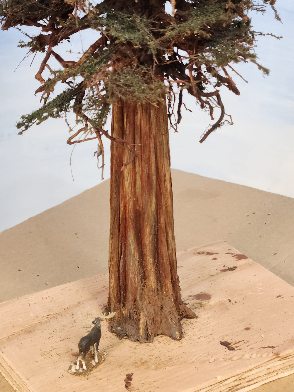 Redwood Tree 16 Inch