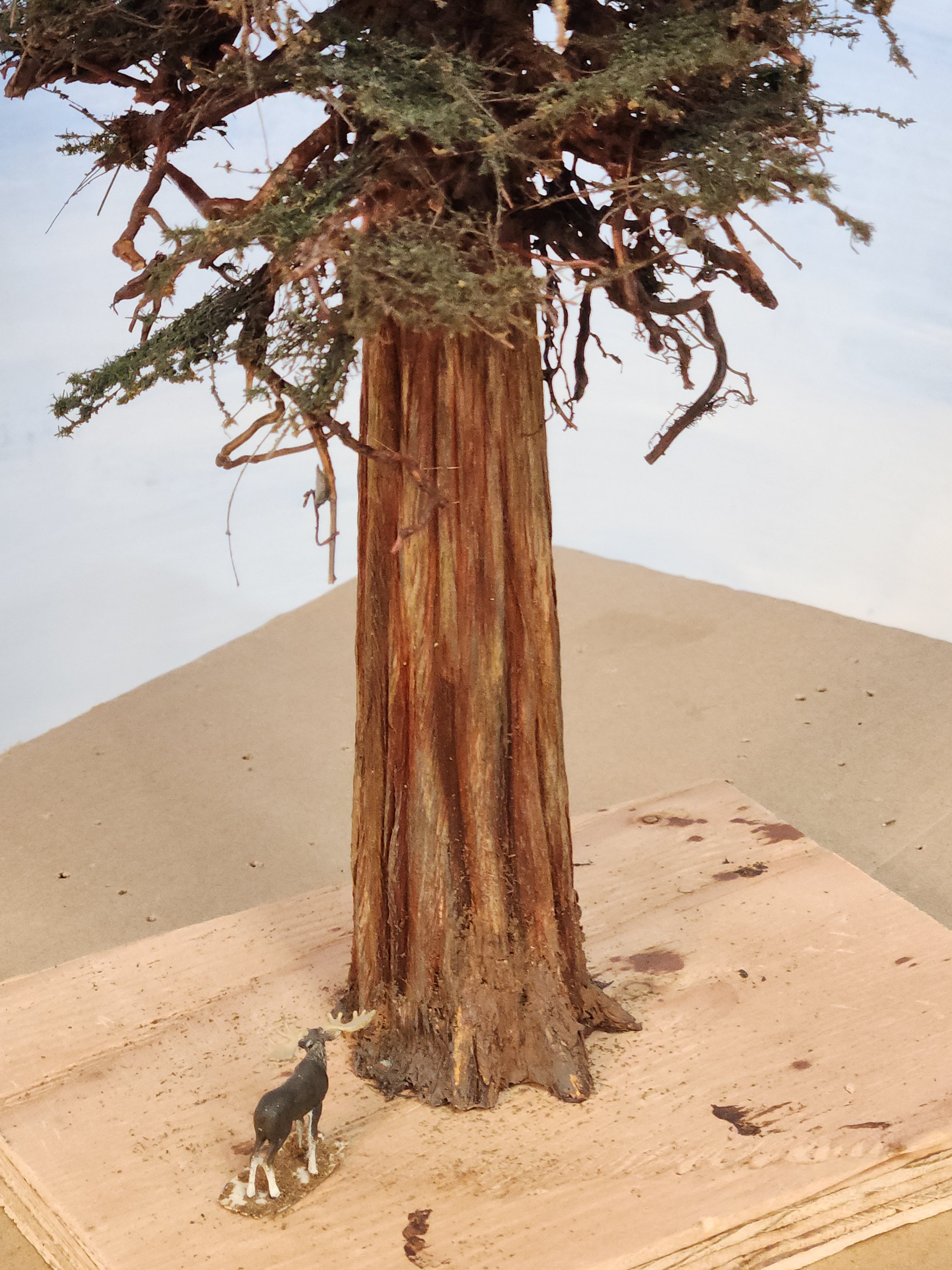 Redwood Tree 16 Inch
