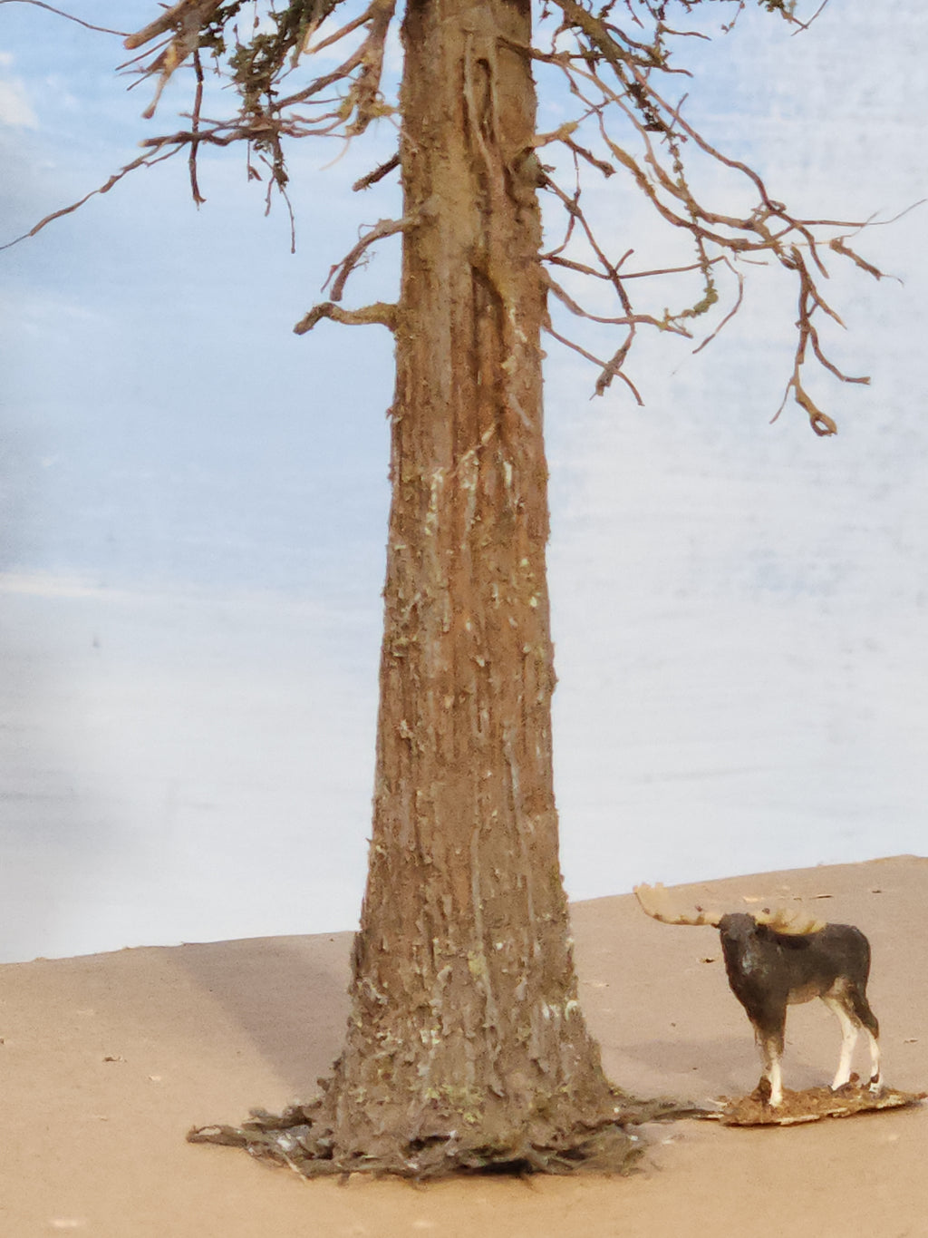 L0050 14-inch "Perfect" Fir Tree
