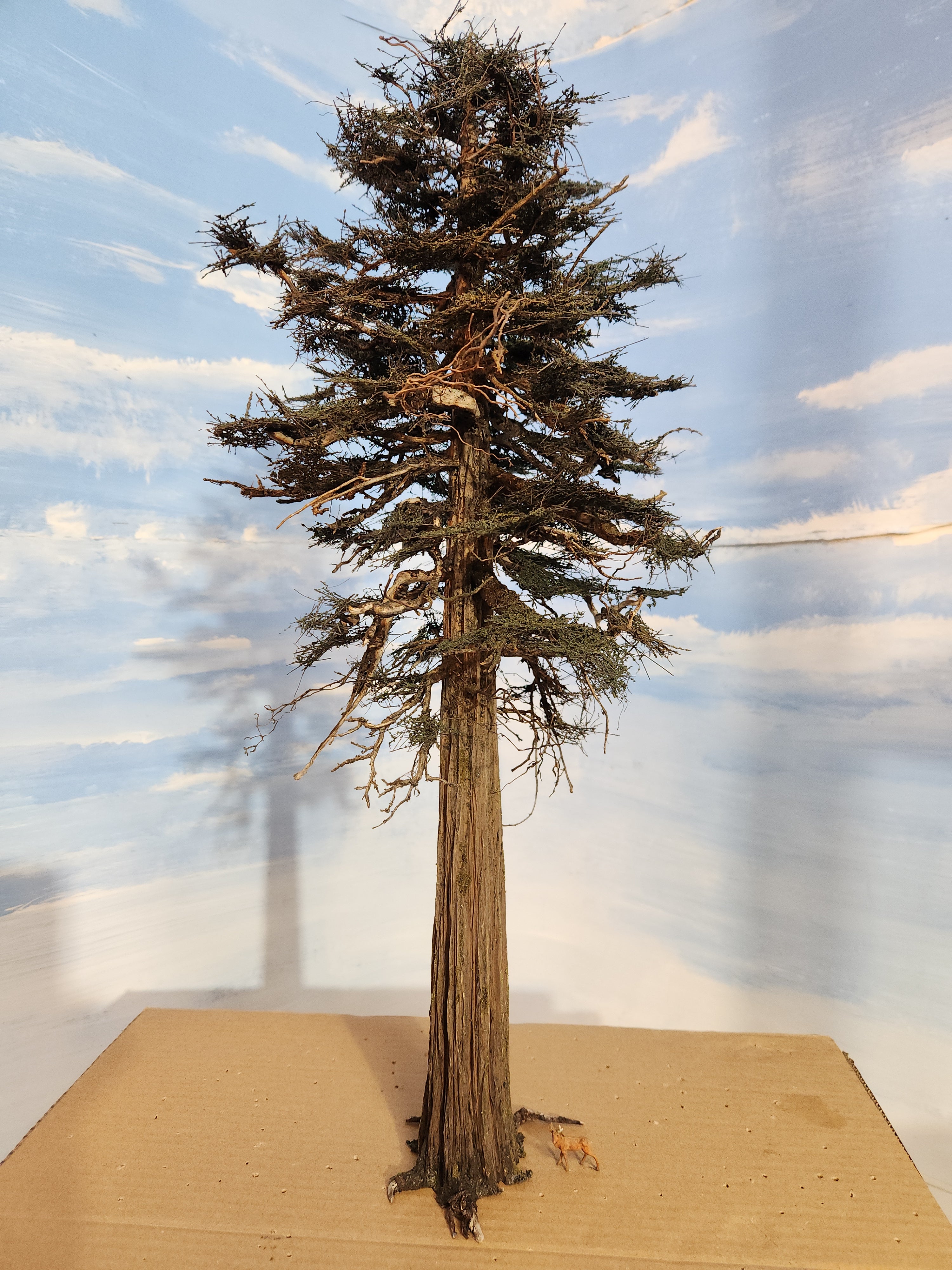 22 Inch Maximum Detail Fir