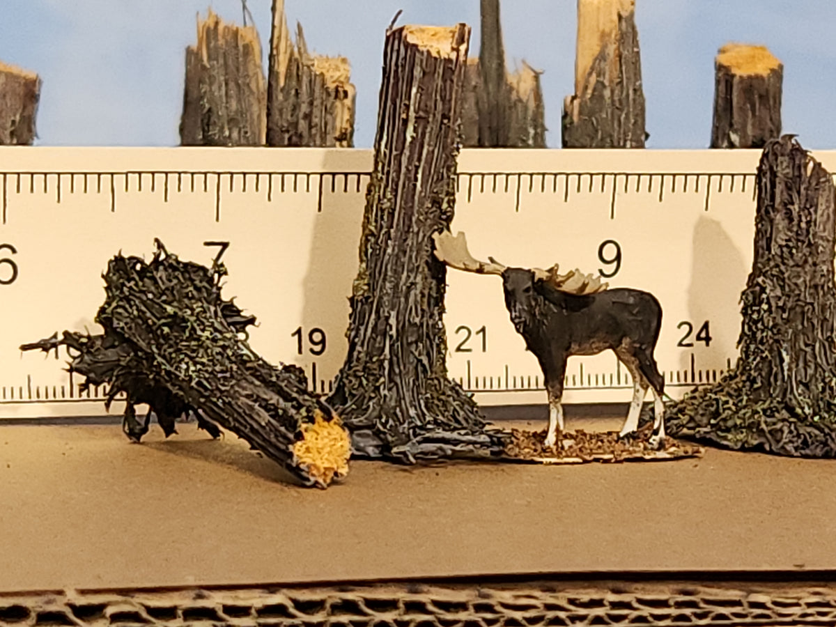 Stumps, 5/16", Chainsaw-Fresh-Cut, Three