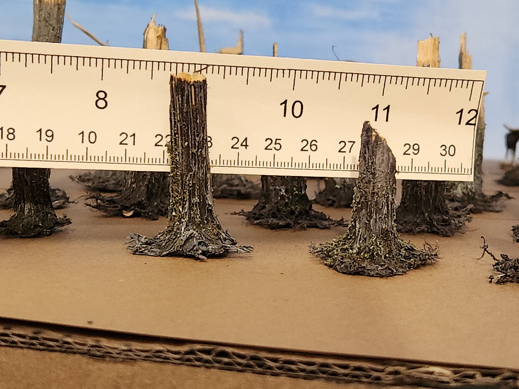Stumps, 5/16", Chainsaw-Fresh-Cut, Three