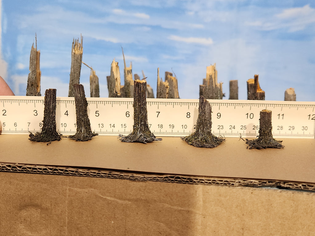 Stumps, 5/16", Chainsaw-Fresh-Cut, Three