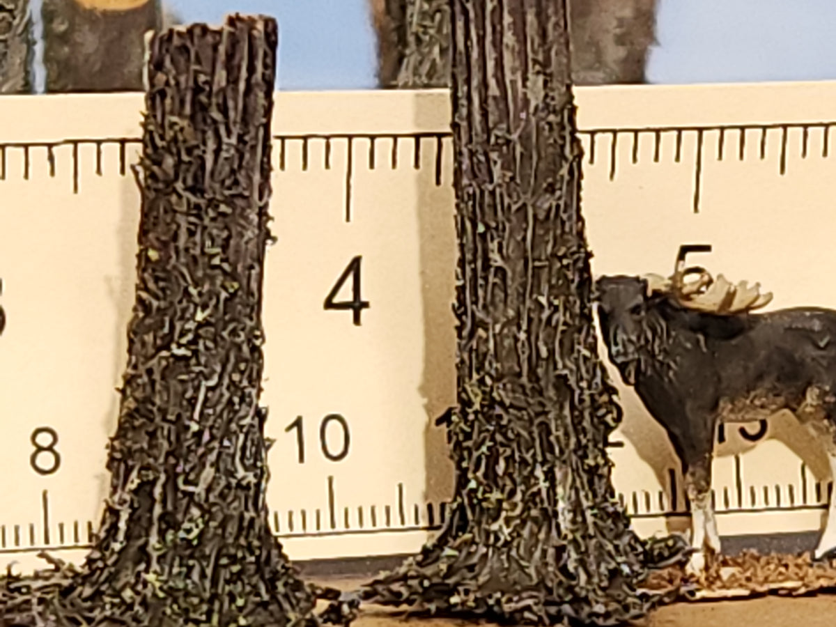 Stumps, 5/16", Chainsaw-Fresh-Cut, Three