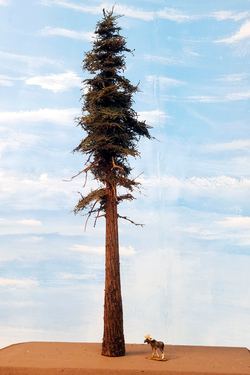 16 Inch Medium Detail Fir