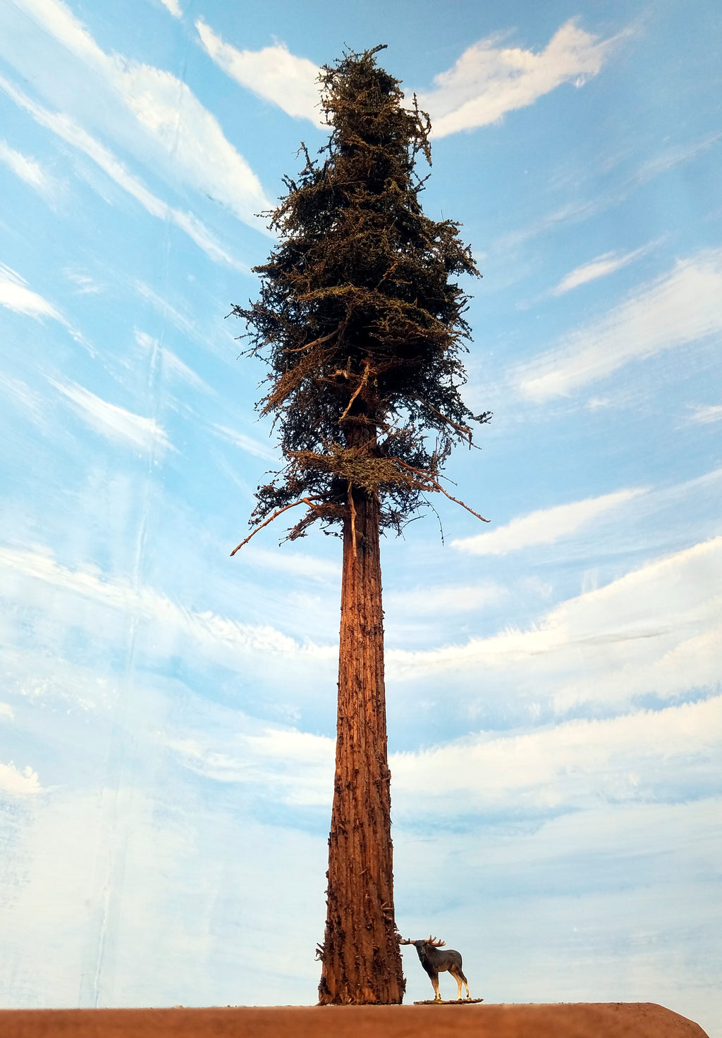 16 Inch Medium Detail Fir