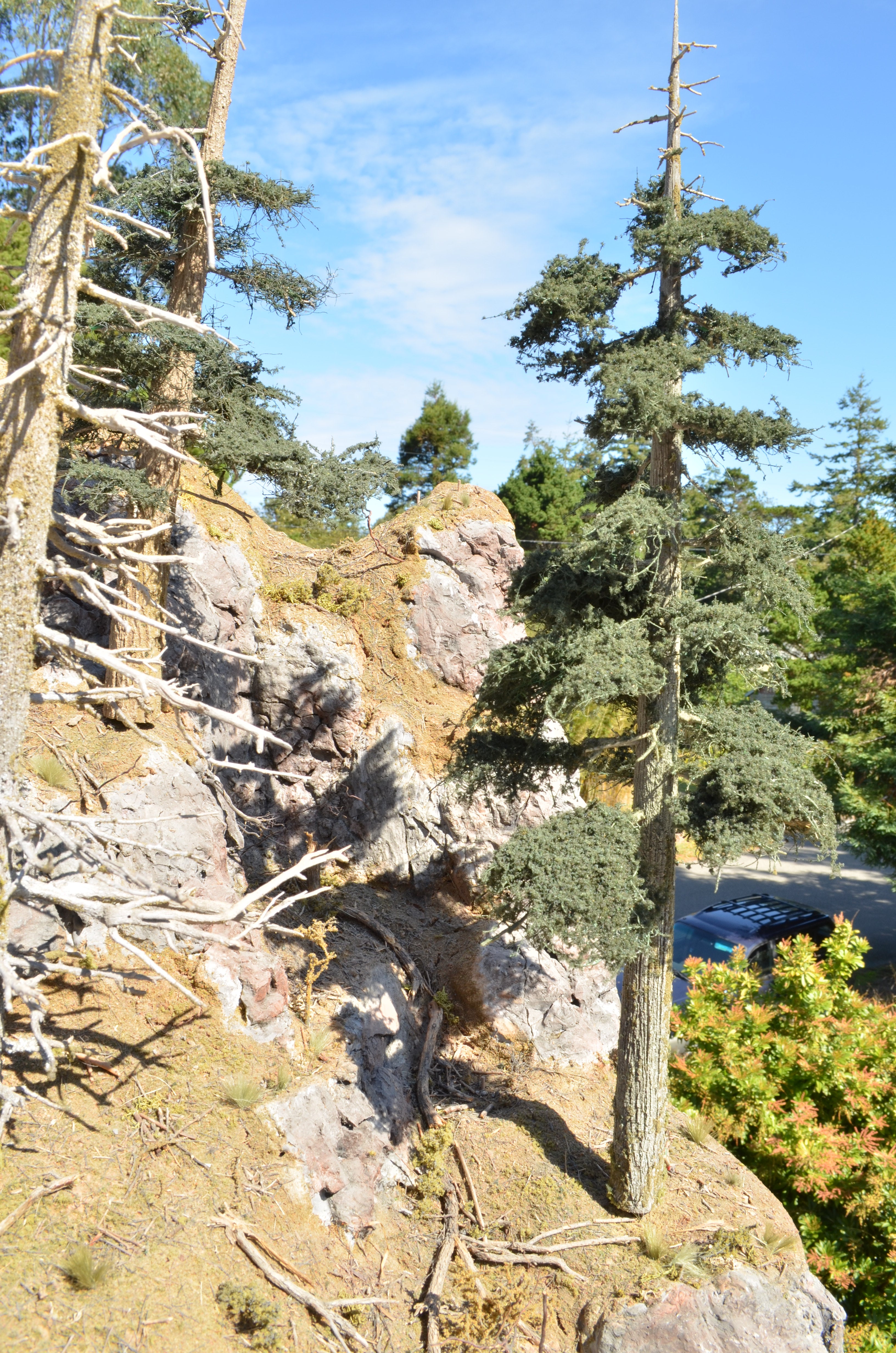 16 Inch Medium Detail Fir