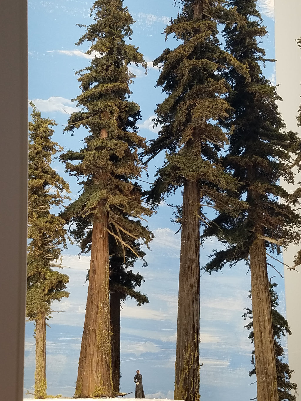 16 Inch Medium Detail Fir