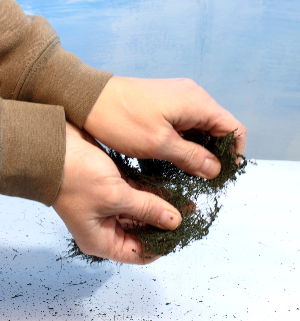 Green Branch Foliage THICK TWO LAYERS FULL SHEET