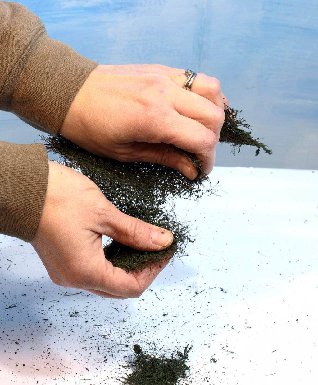 Green Branch Foliage THIN FULL SHEET