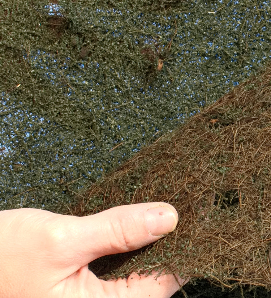 Green Branch Foliage THICK TWO LAYERS FULL SHEET