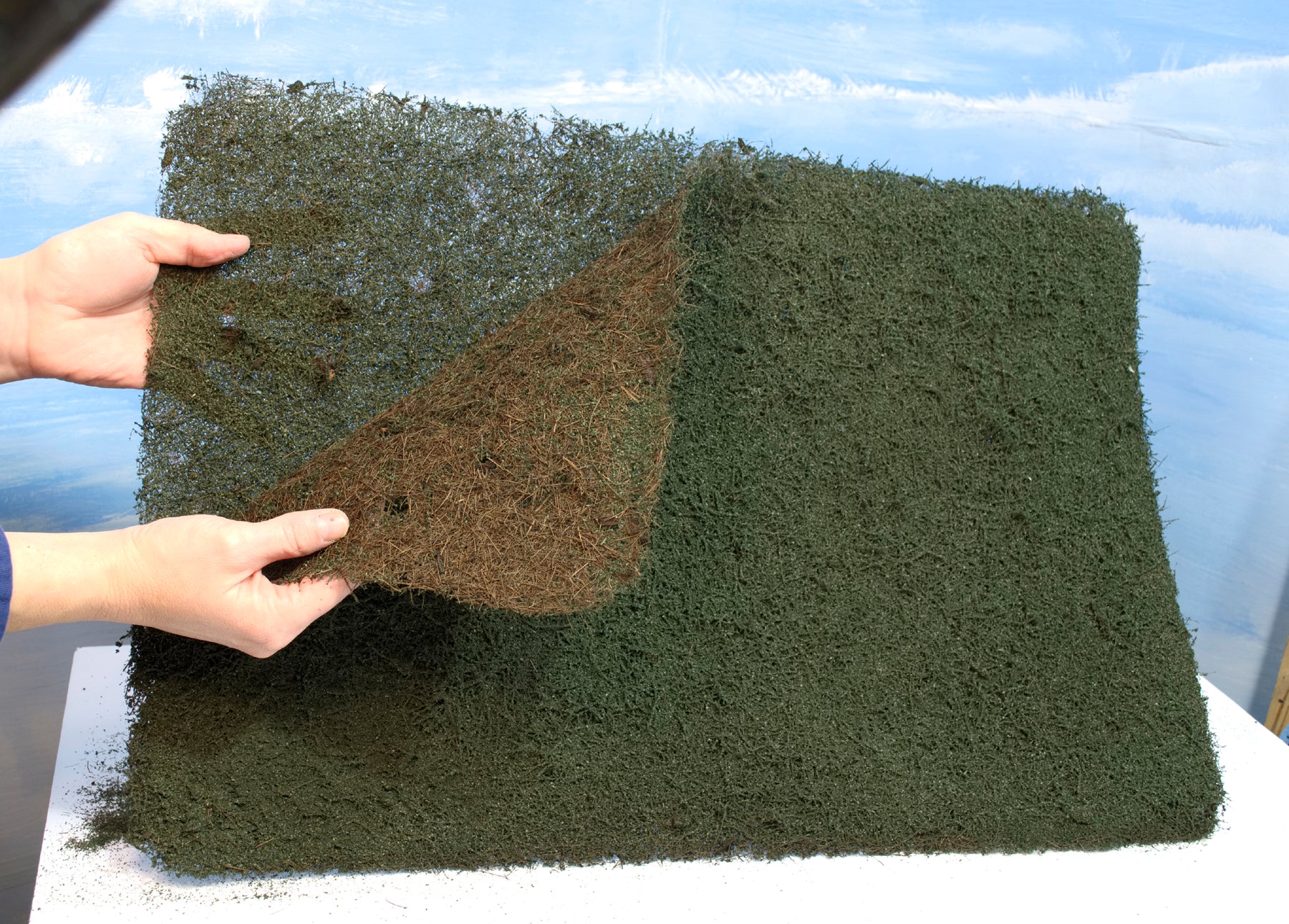 Green Branch Foliage THICK TWO LAYERS FULL SHEET – Coastmans