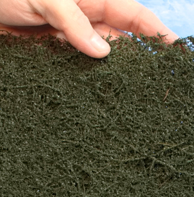 Green Branch Foliage THICK 1/4 SHEET