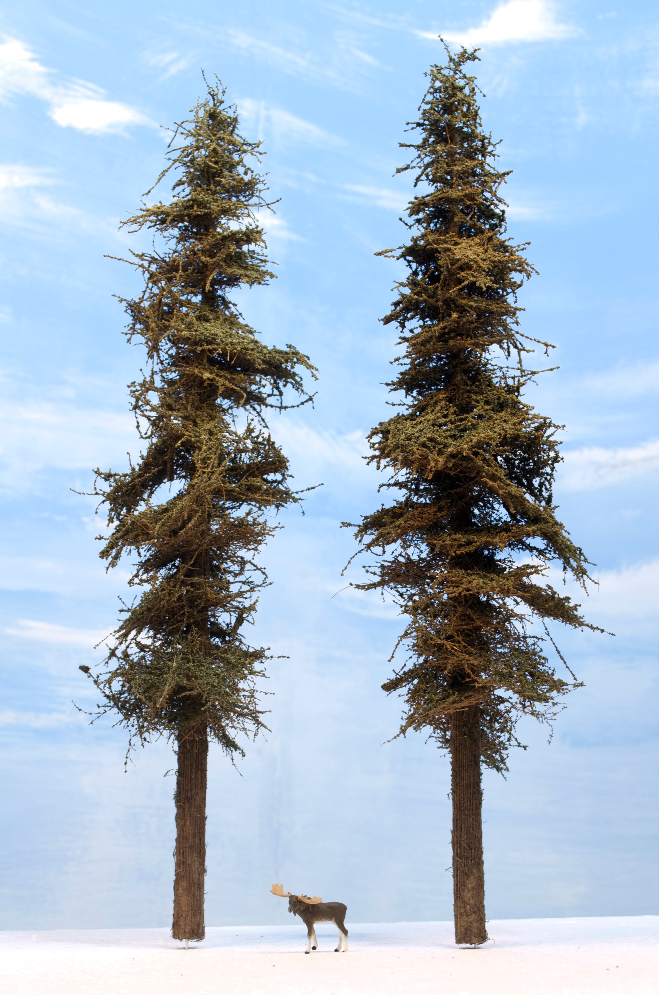 13 inch Old Growth Fir Trees Kit