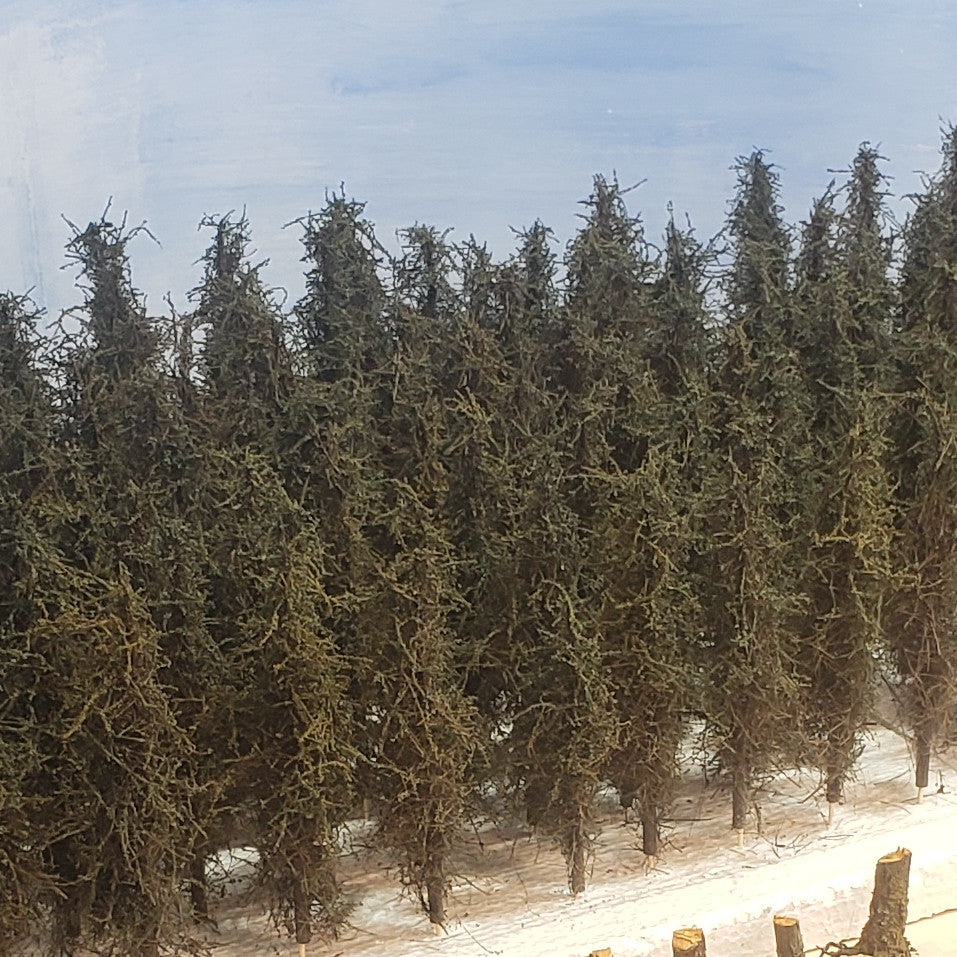 6" Background Trees qty 30