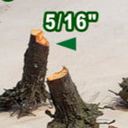 Stumps, 5/16", Chainsaw-Fresh-Cut, Three