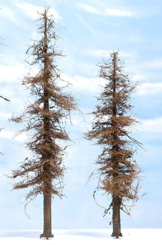 Fire Damage - Insect Infested -  7 Inch