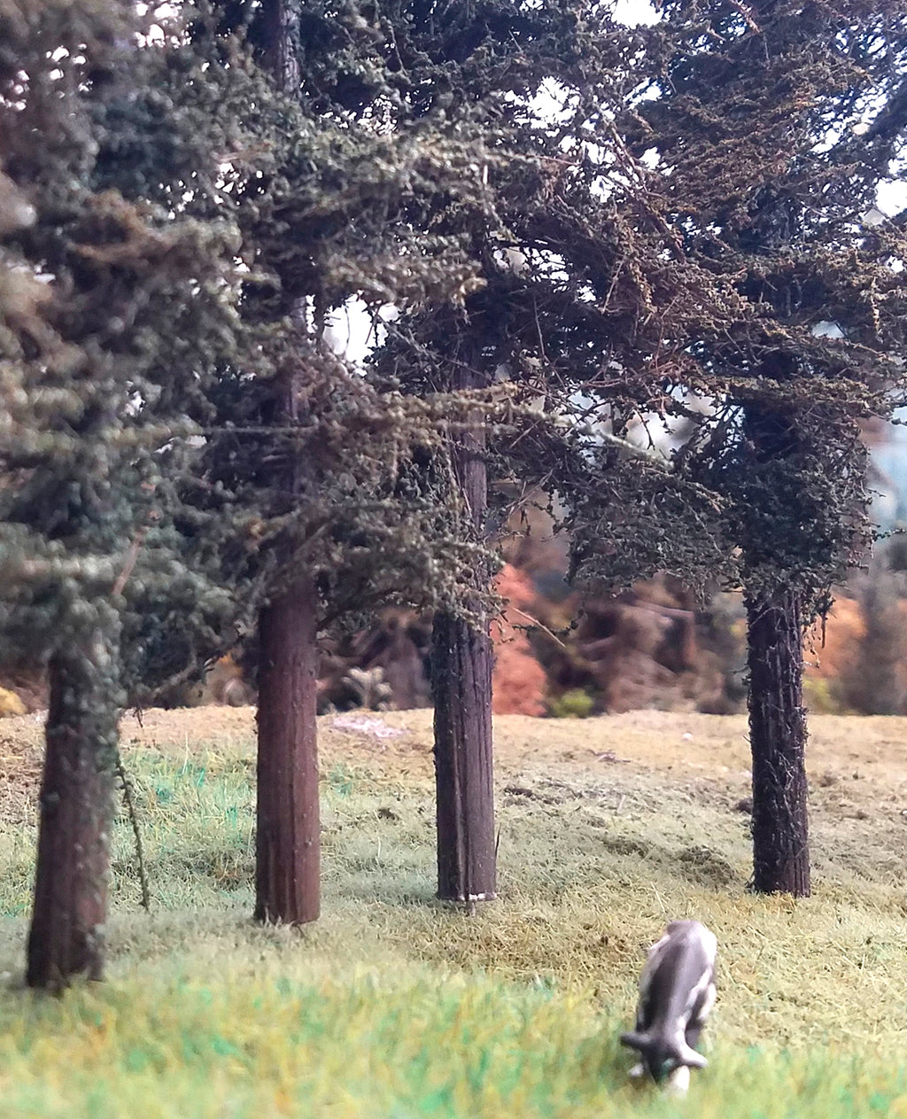 Variety Pak Fir Trees Kit