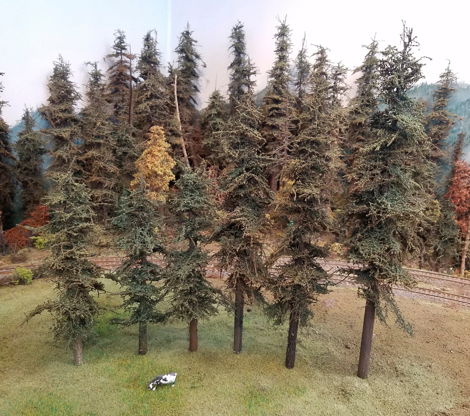 Variety Pak Fir Trees Kit