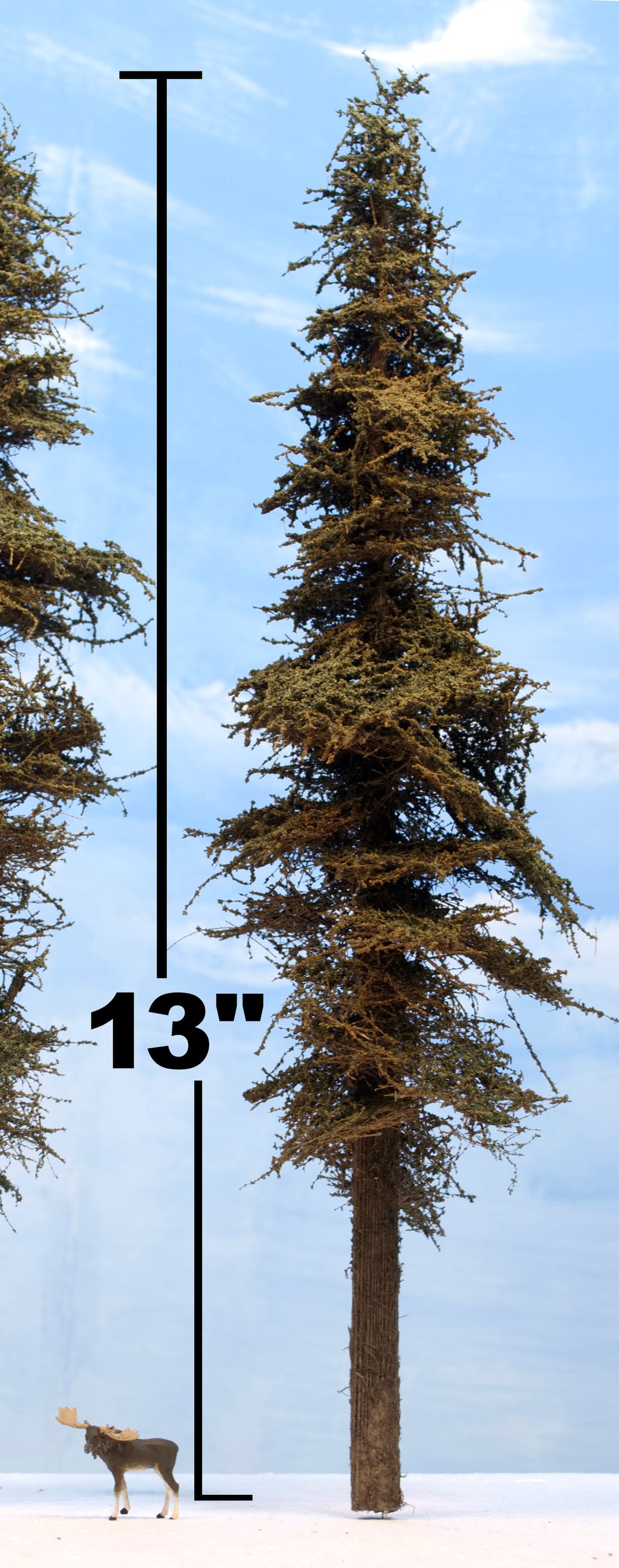 Tall evergreen tree in HO Scale 1:87 with its height relative to a 1:87 moose.