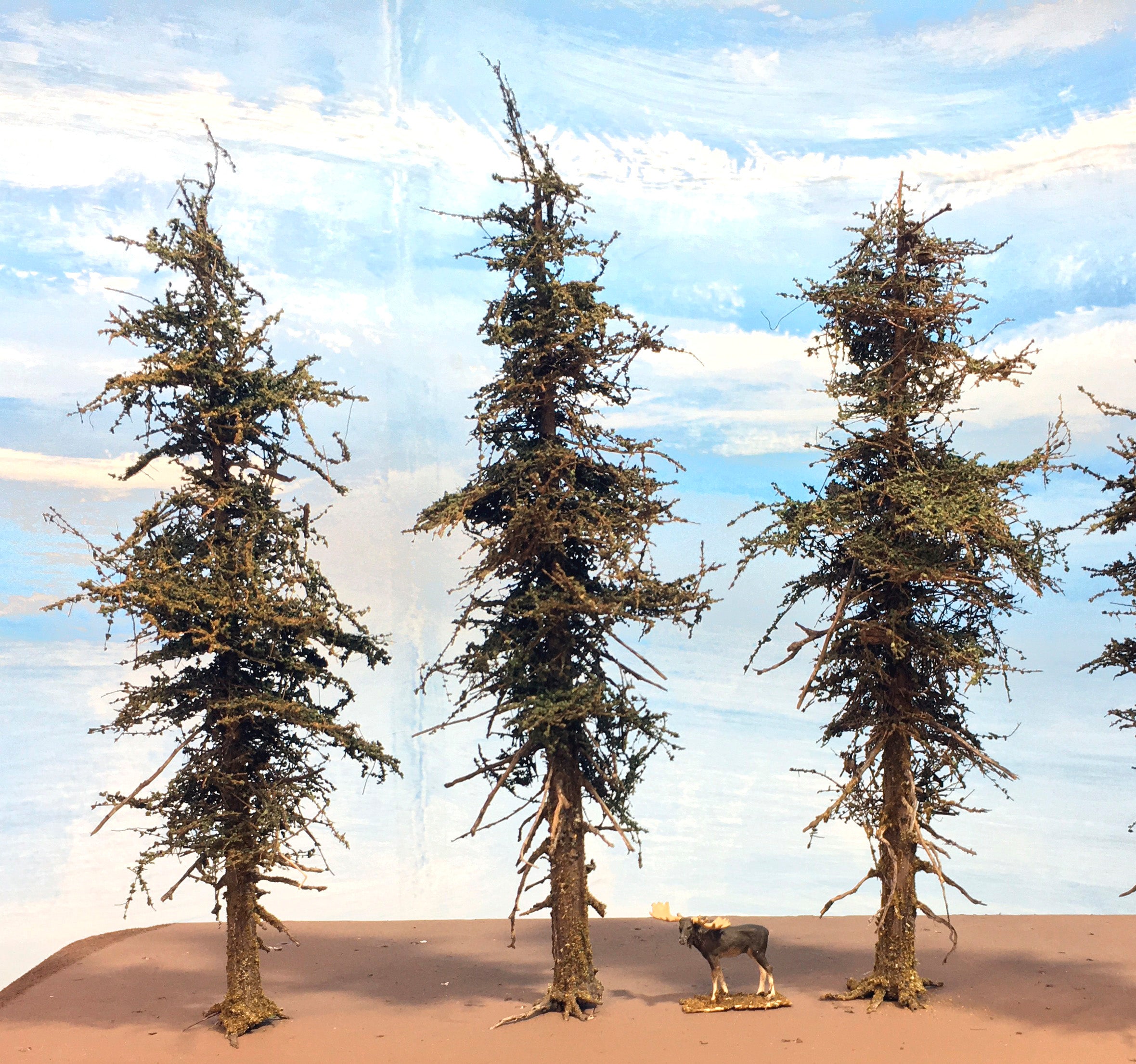 Premium Fir Tree - 7 Inch