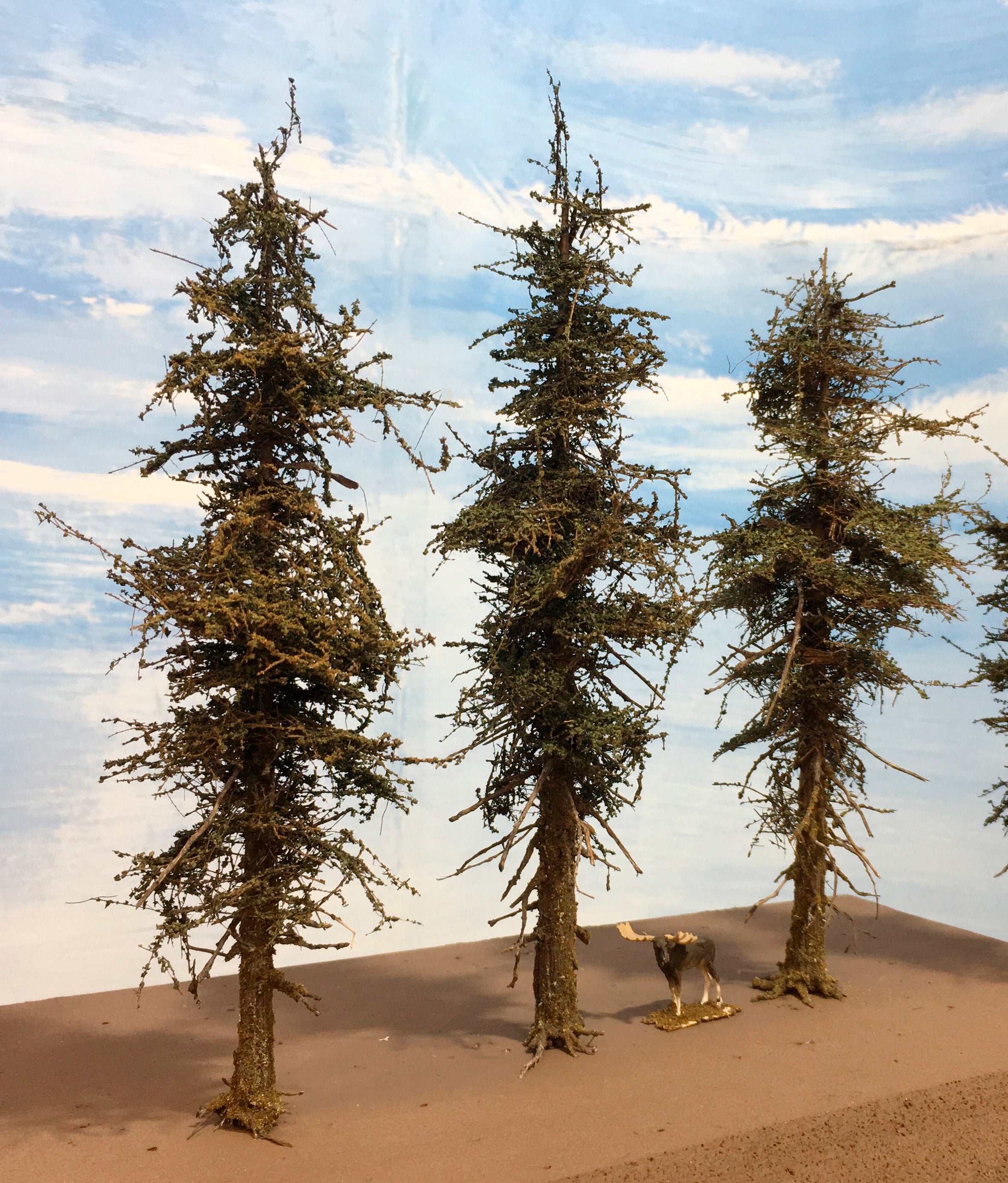 Premium Fir Tree - 7 Inch