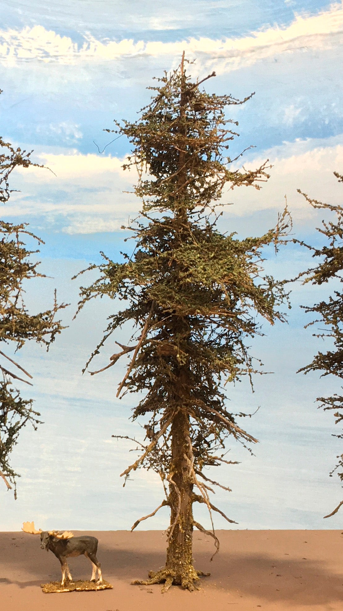 Premium Fir Tree - 7 Inch