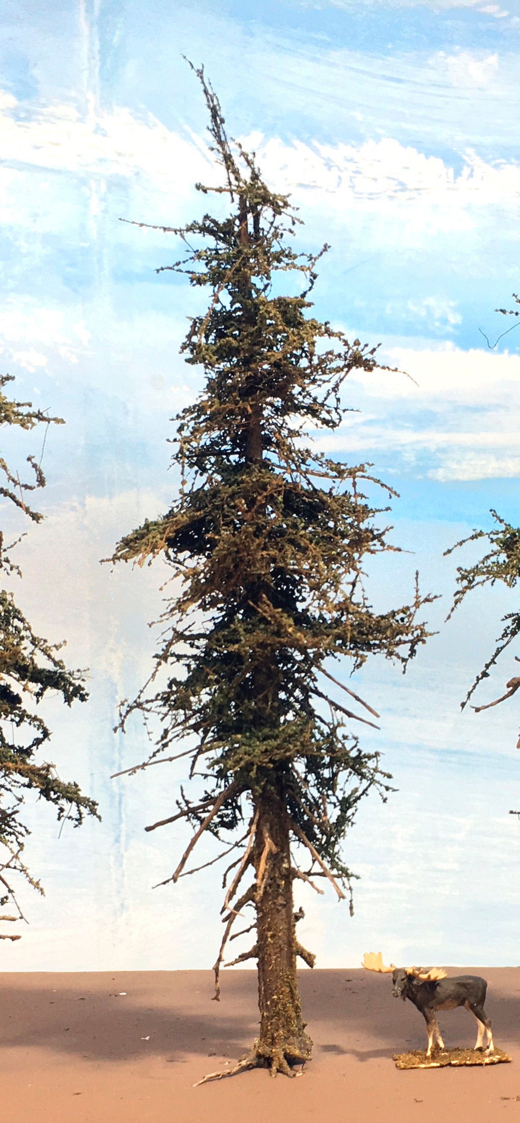 Premium Fir Tree - 7 Inch