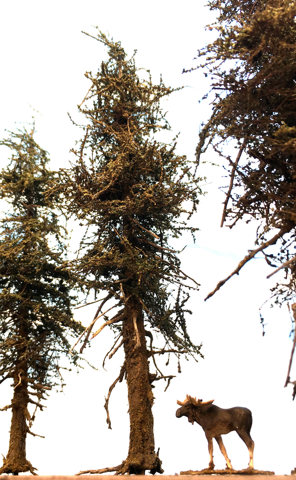 Premium Fir Tree - 7 Inch