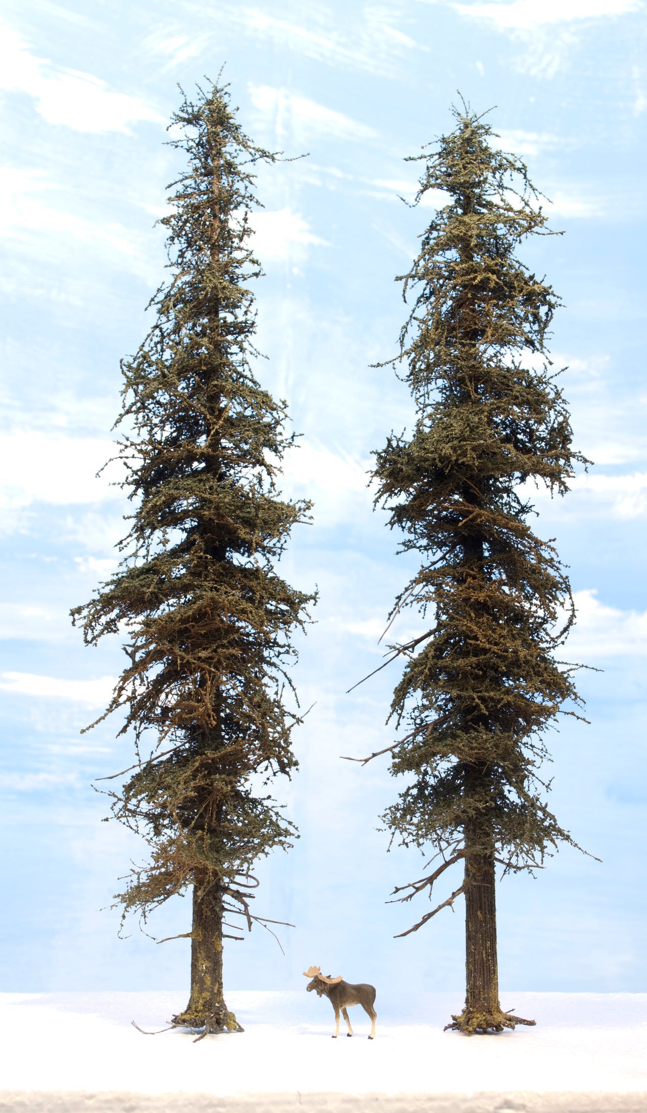 Premium Fir Tree - 13 Inches