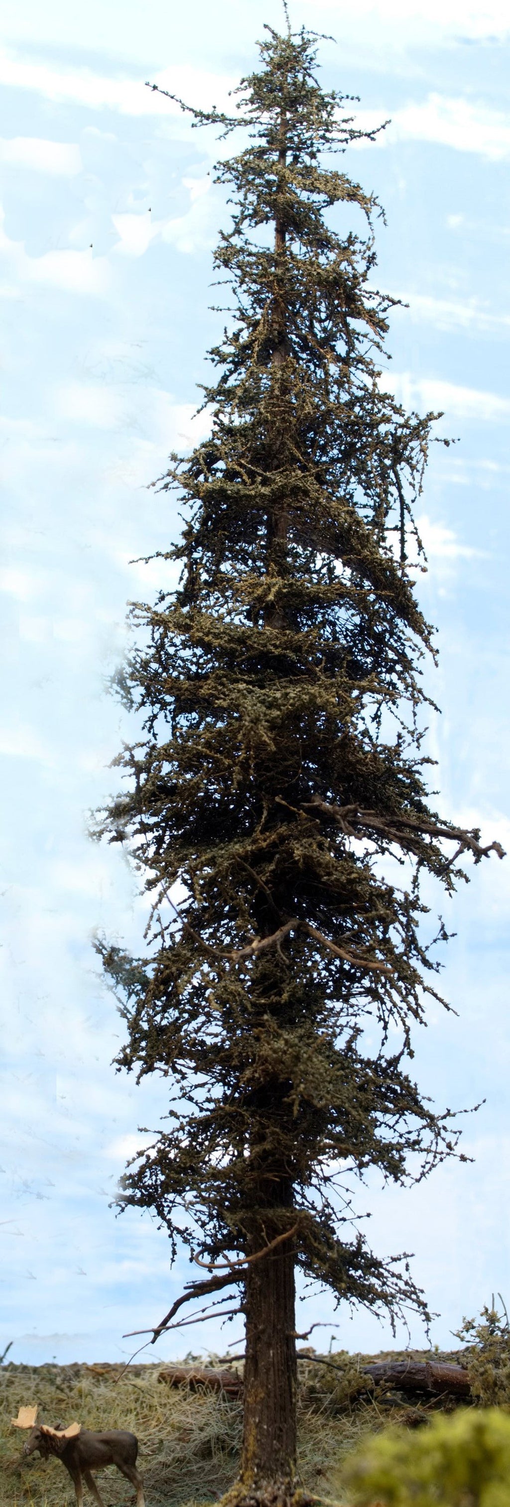 Premium Fir Tree - 13 Inches