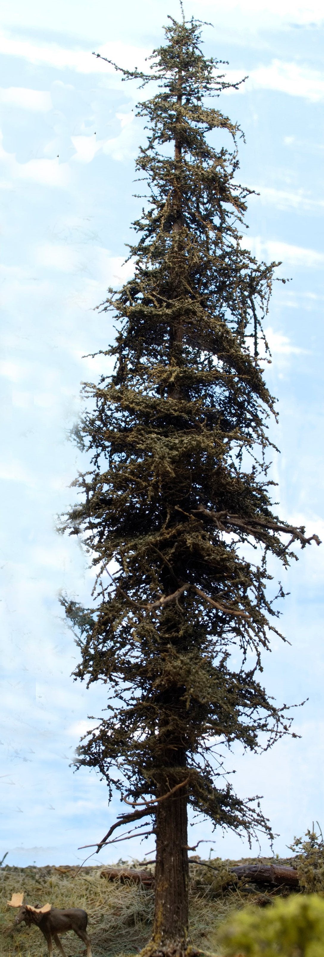 Premium Fir Tree - 13 Inches